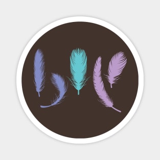 Colorful bird feathers Magnet